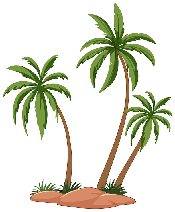 Bezpłatny plik Wektor ilustracja wektorowa palm tropikalnych
