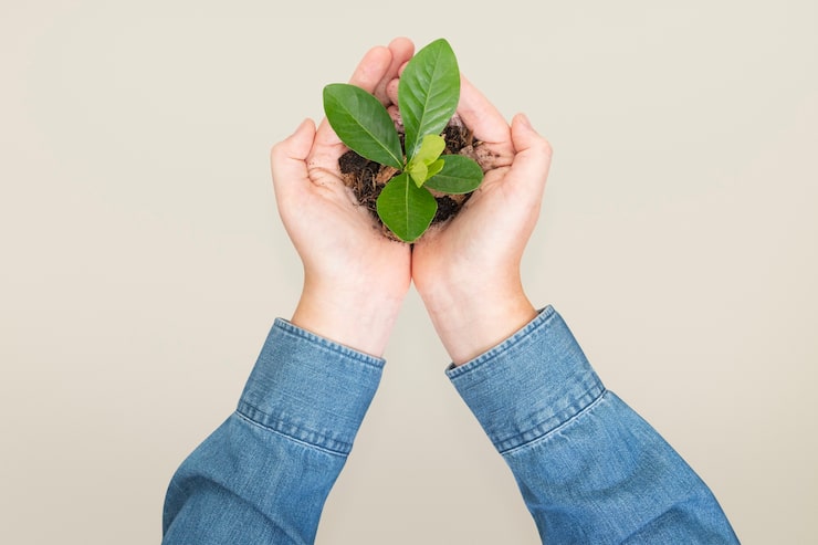 Bezpłatny plik Zdjęcie kampania hands cupping plant save the environment