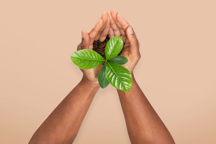 Bezpłatny plik Zdjęcie kampania hands cupping plant save the environment
