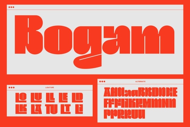 Bogam