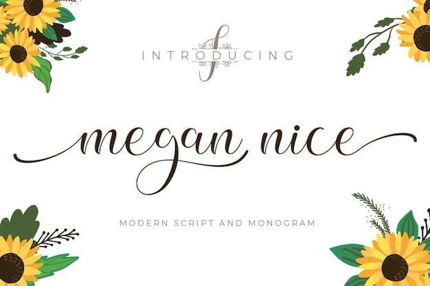 Megan Nice