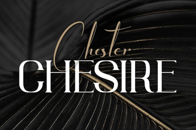 Chester Chesire