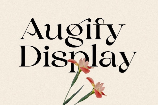 Augify
