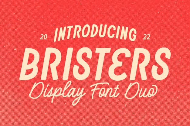 Bristers