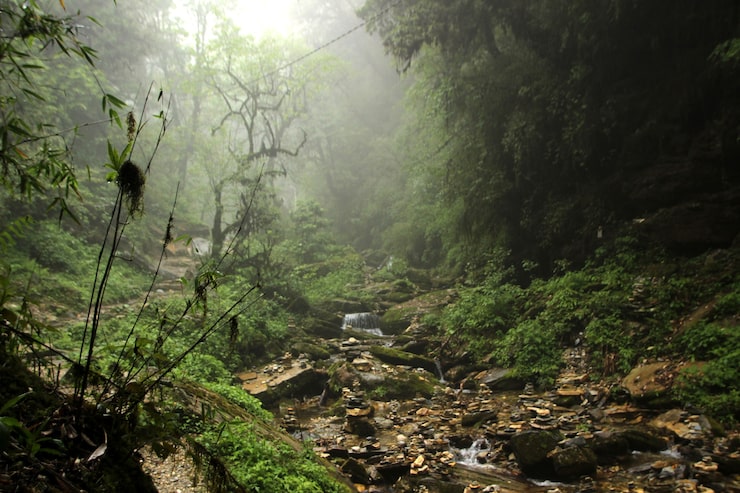 Photo Gratis bepergian ke nepal