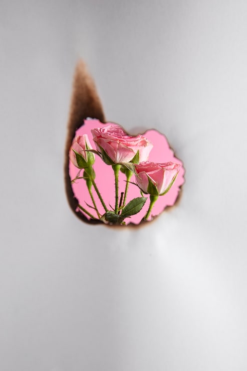 Foto gratuito bodegón de papel quemado con flor rosa