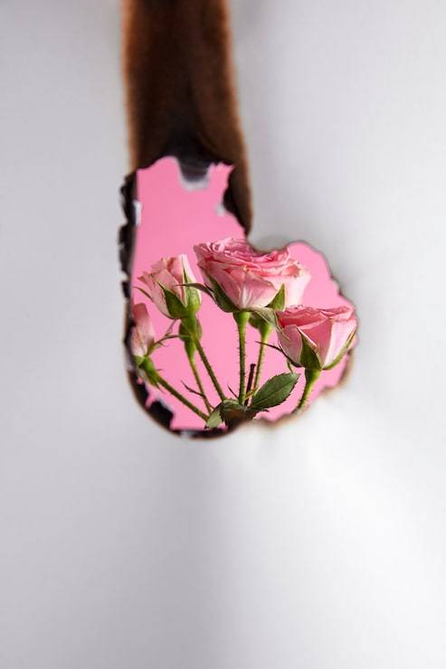 Foto gratuito bodegón de papel quemado con flor rosa