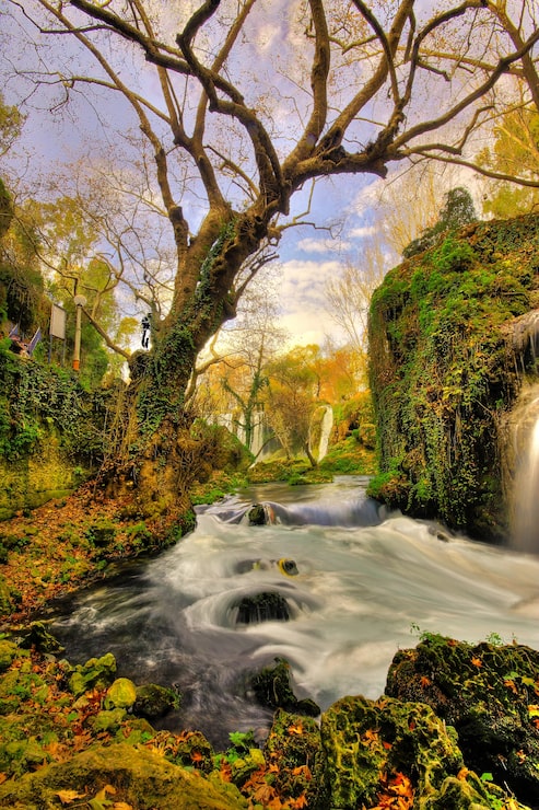 Foto gratuito bosque mágico con un río