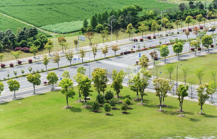 Foto gratuito carretera con árboles alrededor
