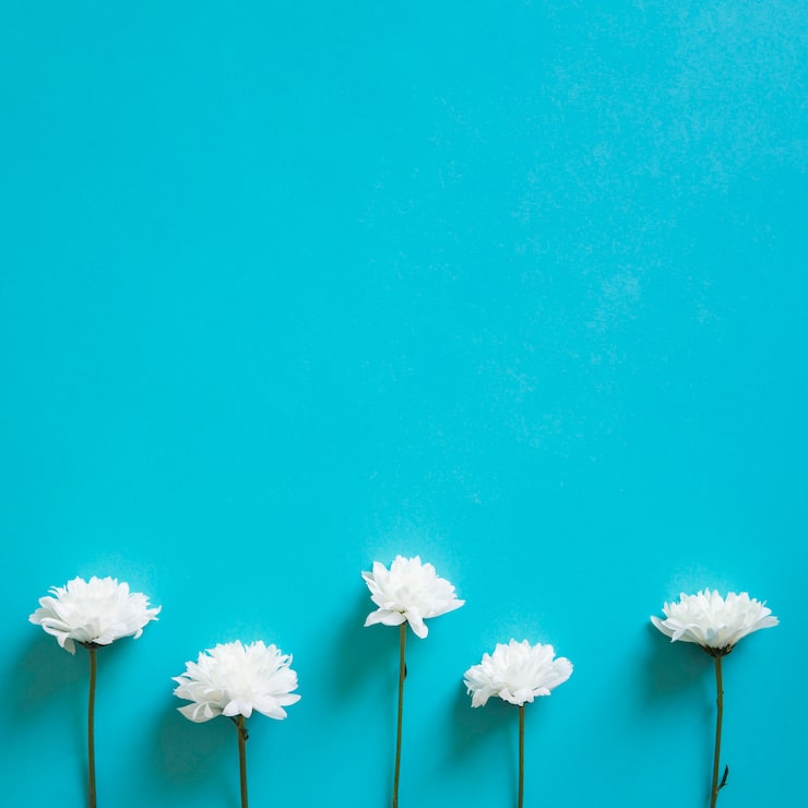 Foto gratuito cinco flores blancas
