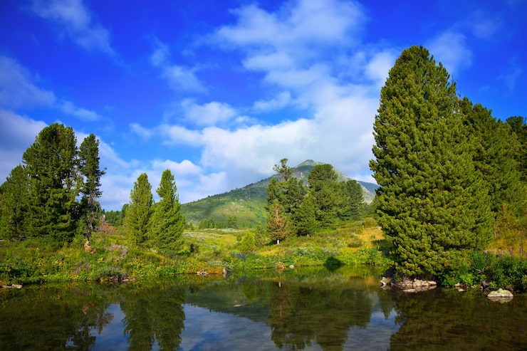 Photo Gratis danau pegunungan