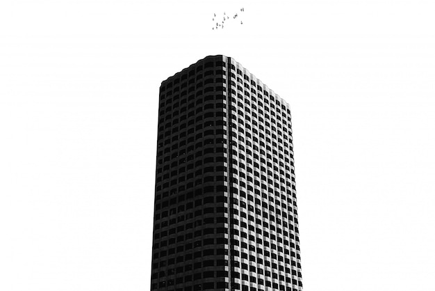 Foto gratuito un edificio alto con blanco puro aislado