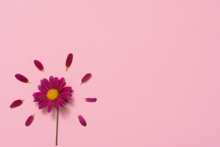 Foto gratuito flor pequeña con pétalos en mesa.