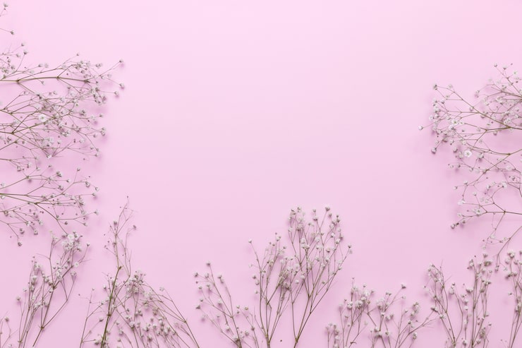 Foto gratuito las flores
