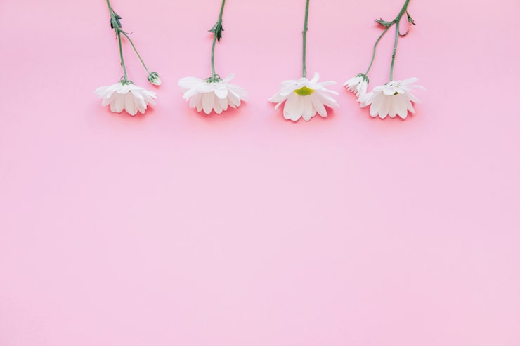 Foto gratuito fondo con cuatro flores arriba