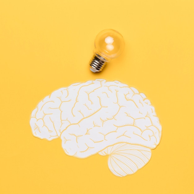 Foto gratuito forma de cerebro con bombilla