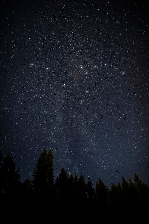 Foto gratuito hermosas constelaciones con árboles altos