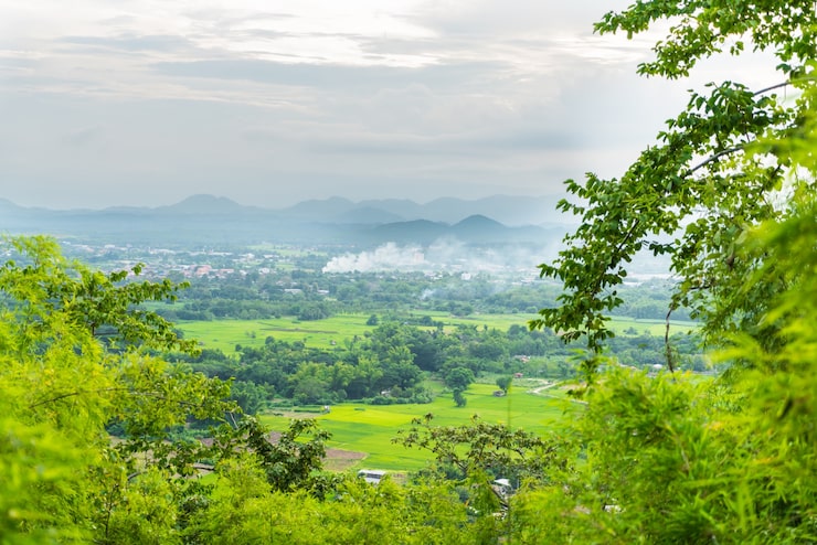 Photo Gratis hutan yang terlihat dari sebuah gunung