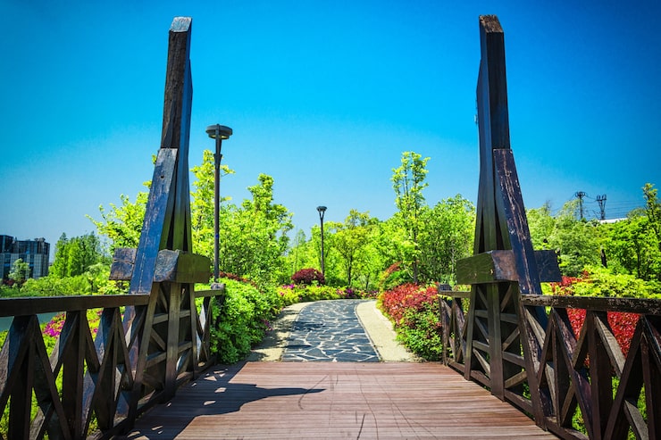 Photo Gratis jembatan bow central park new york city