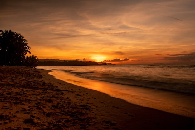 Foto gratuito magnífico paisaje de una playa con árboles y un mar durante la puesta de sol