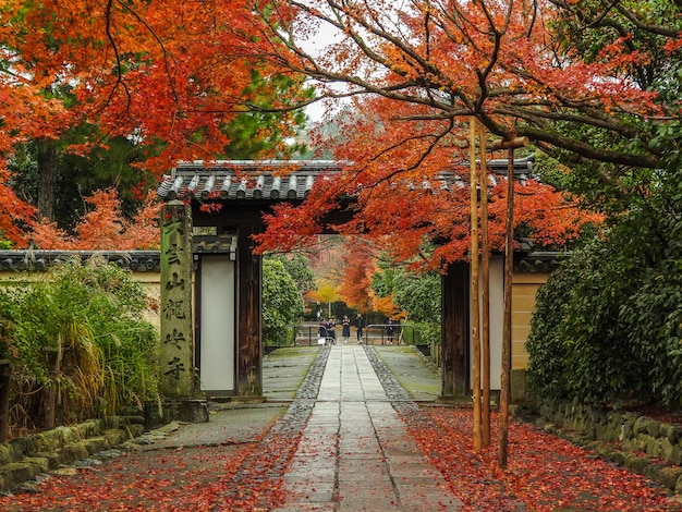 Foto gratuito otoño en kioto