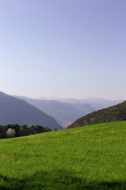 Foto gratuito paisaje del campo de hierba verde