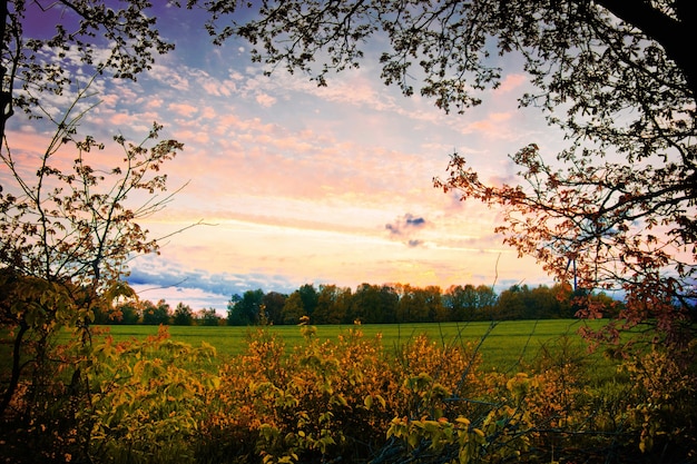 Foto gratuito paisaje de la naturaleza en verano.