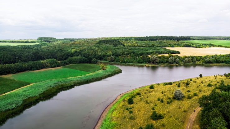 Foto gratuito paisaje de un río y bosque verde.