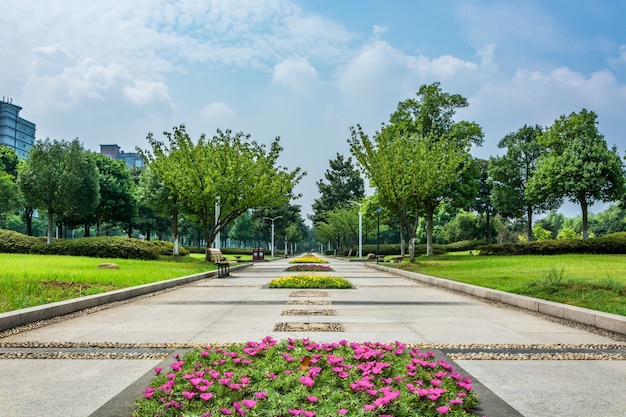 Foto gratuito parque en china