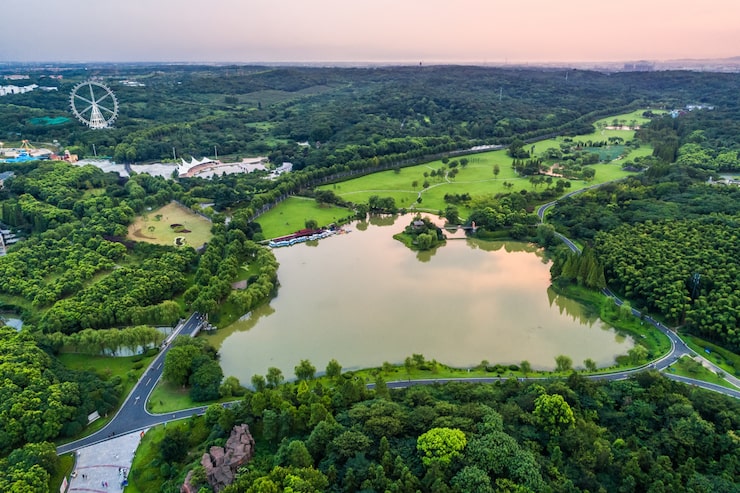Foto gratuito el parque de la ciudad con el lago