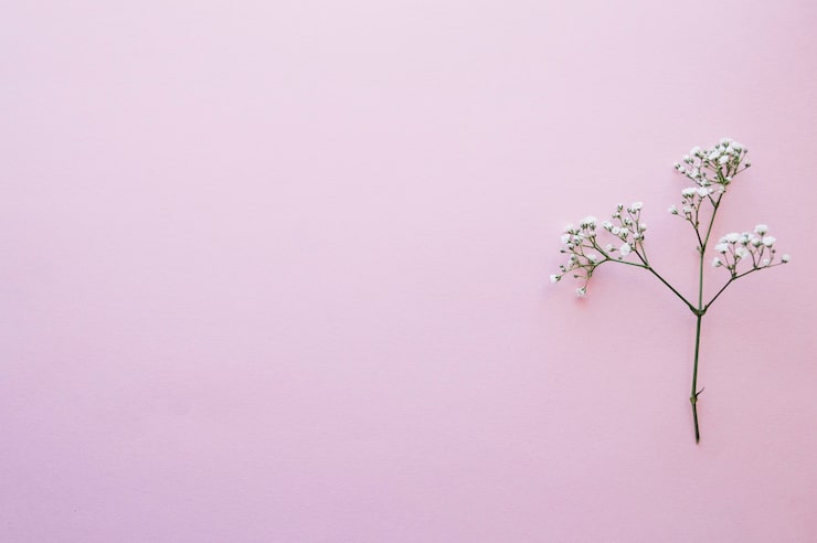Foto gratuito pequeña ramita floreciente en rosa
