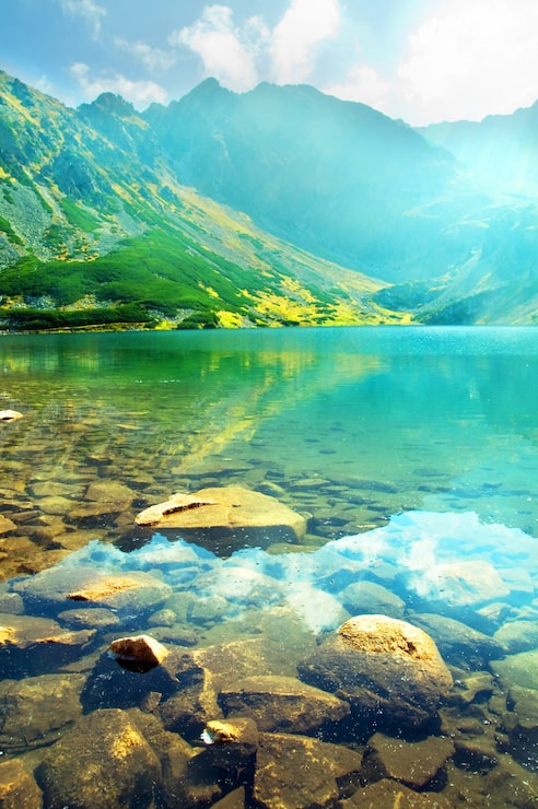 Foto gratuito primer plano de piedras sumergidas en el lago