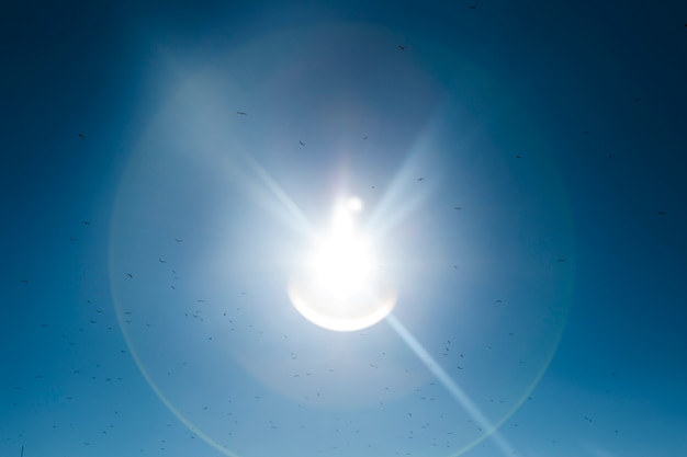 Foto gratuito reflejo de luz solar