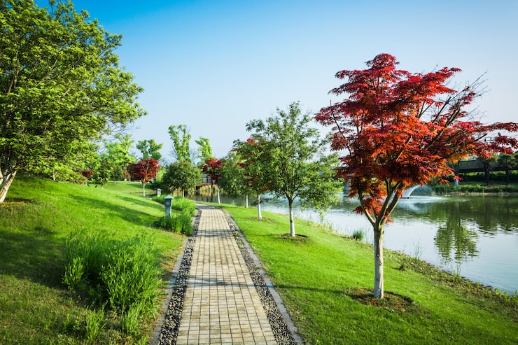Photo Gratis taman luar ruangan dan jalan setapak jalan