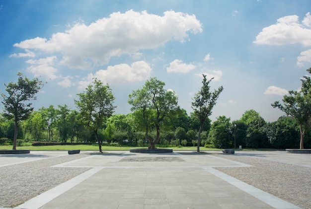 Photo Gratis taman