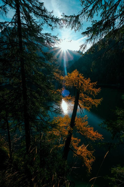 Foto gratuito tiro vertical de árbol amarillo y verde cerca del agua con el sol brillando sobre la montaña en la distancia