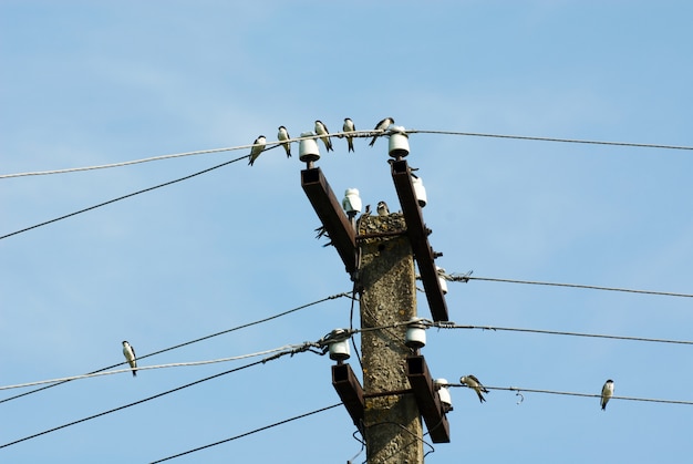 Foto gratuito traga los cables
