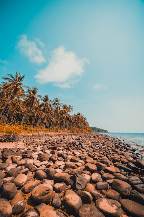 Foto gratuito bella natura tropicale, spiaggia e mare con palme da cocco sull'isola paradisiaca