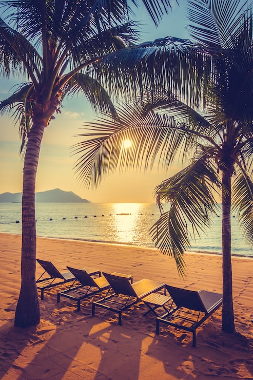 Foto gratuito bella spiaggia e mare con palme