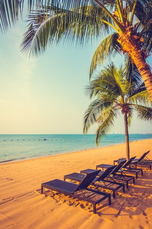 Foto gratuito bella spiaggia e mare con palme