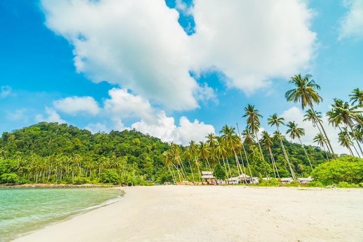 Foto gratuito bellissima spiaggia tropicale e mare
