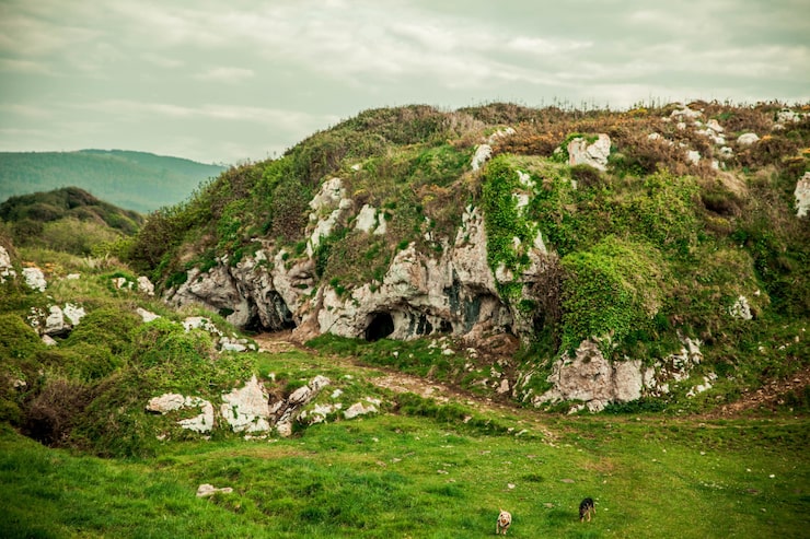Foto gratuito bellissimo paesaggio con rocce ricoperte di verde, grotte e cani