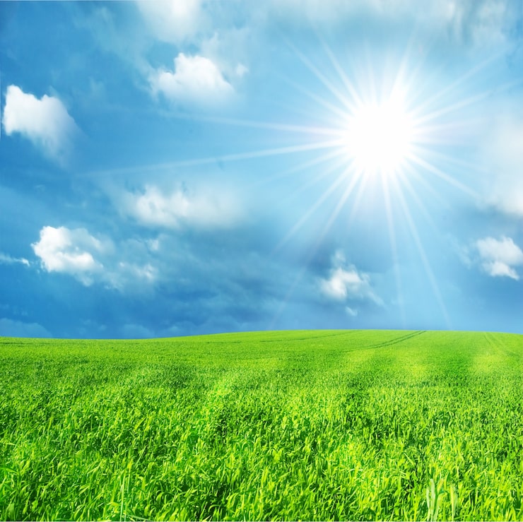 Foto gratuito campo verde con una giornata di sole