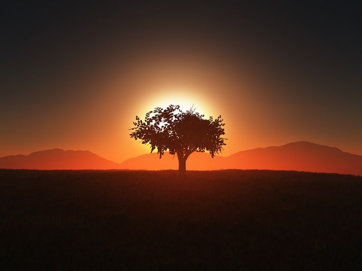 Foto gratuito disegno sagoma dell'albero