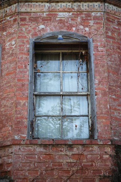 Foto gratuito finestre di un edificio