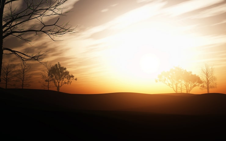 Foto gratuito il tramonto