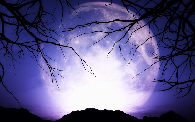 Foto gratuito la luna piena viola