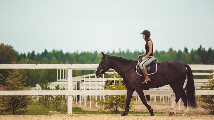 Foto gratuito la ragazza cavalca un cavallo