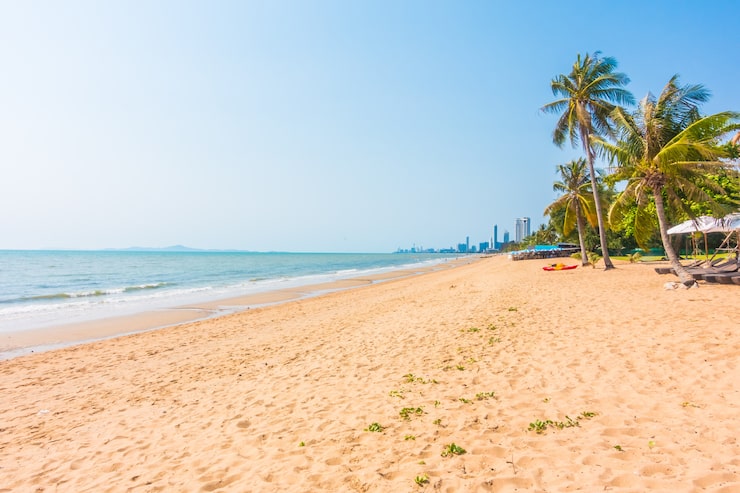 Foto gratuito palma sulla spiaggia