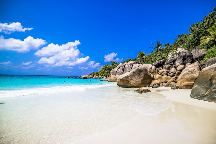 Foto gratuito spiaggia circondata dal mare e dal verde sotto la luce del sole e un cielo blu a praslin alle seychelles